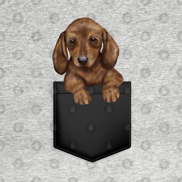 Dachshund in Pocket by Mind Your Tee